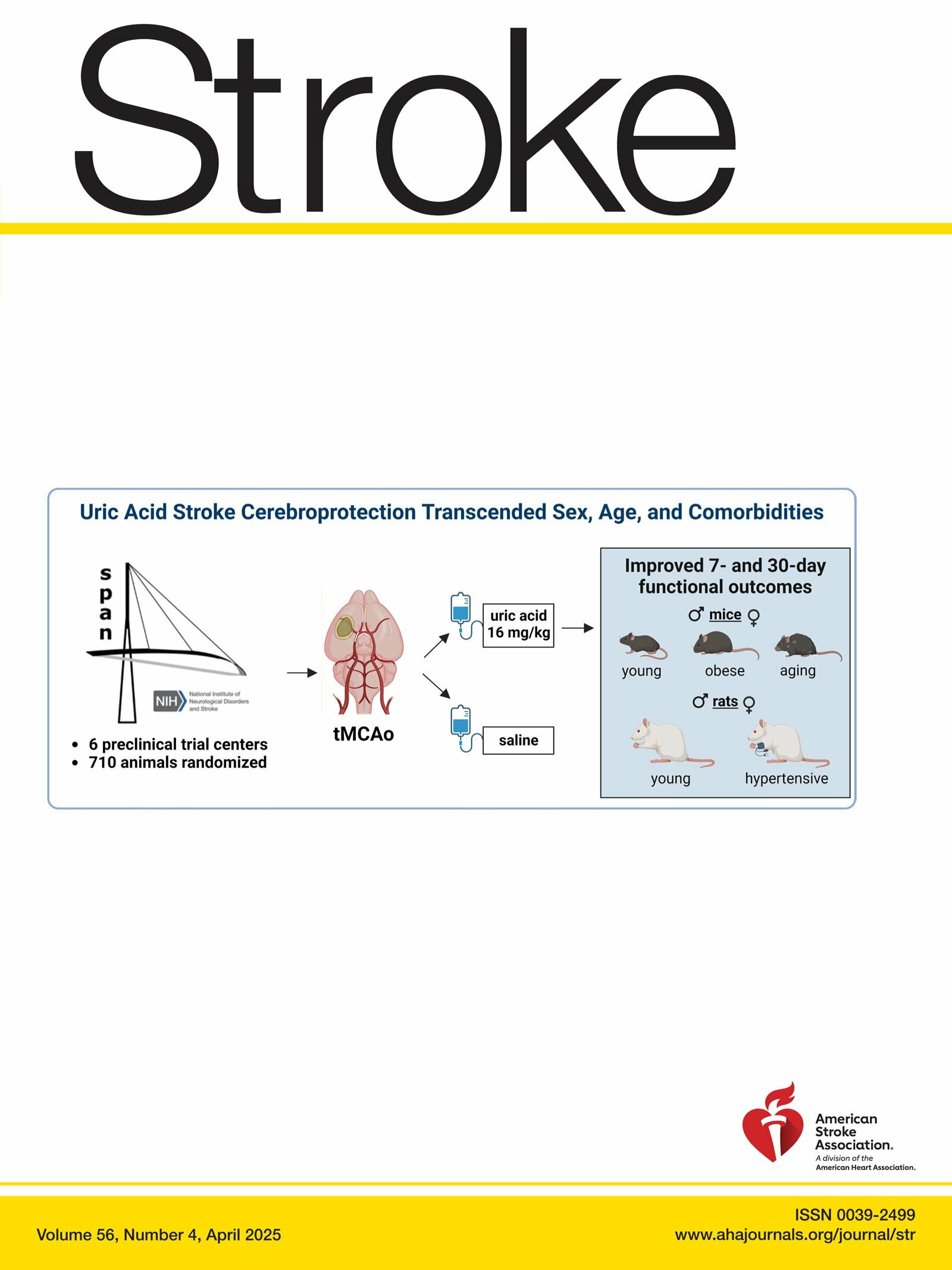 Uric Acid Stroke Cerebroprotection